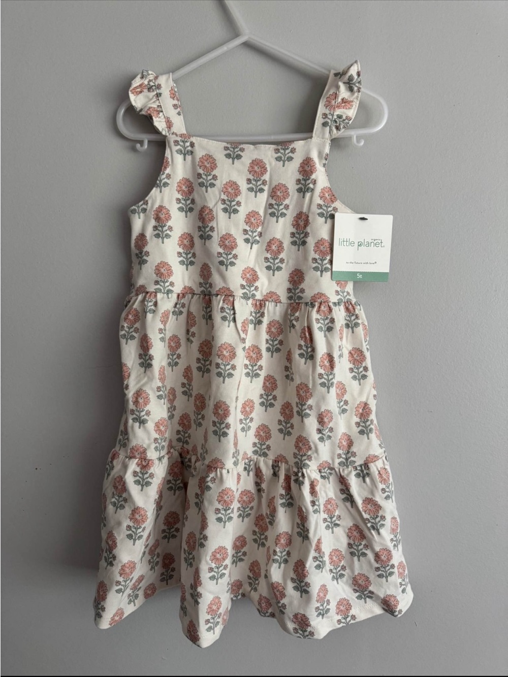 Carter’s Little Planet Dress